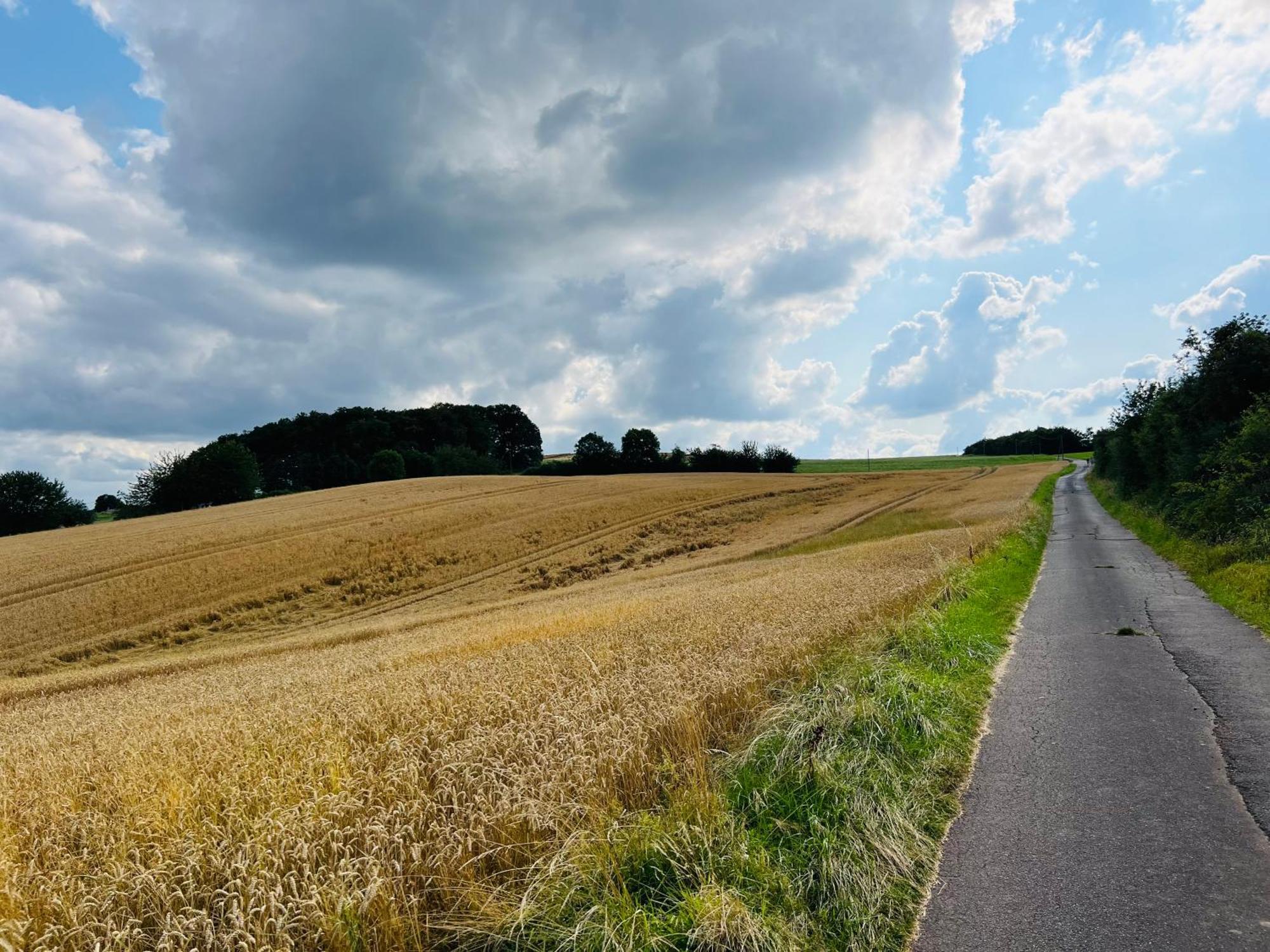 Ferienwohnung In Der Schoenen Eifel! Мехерних Экстерьер фото
